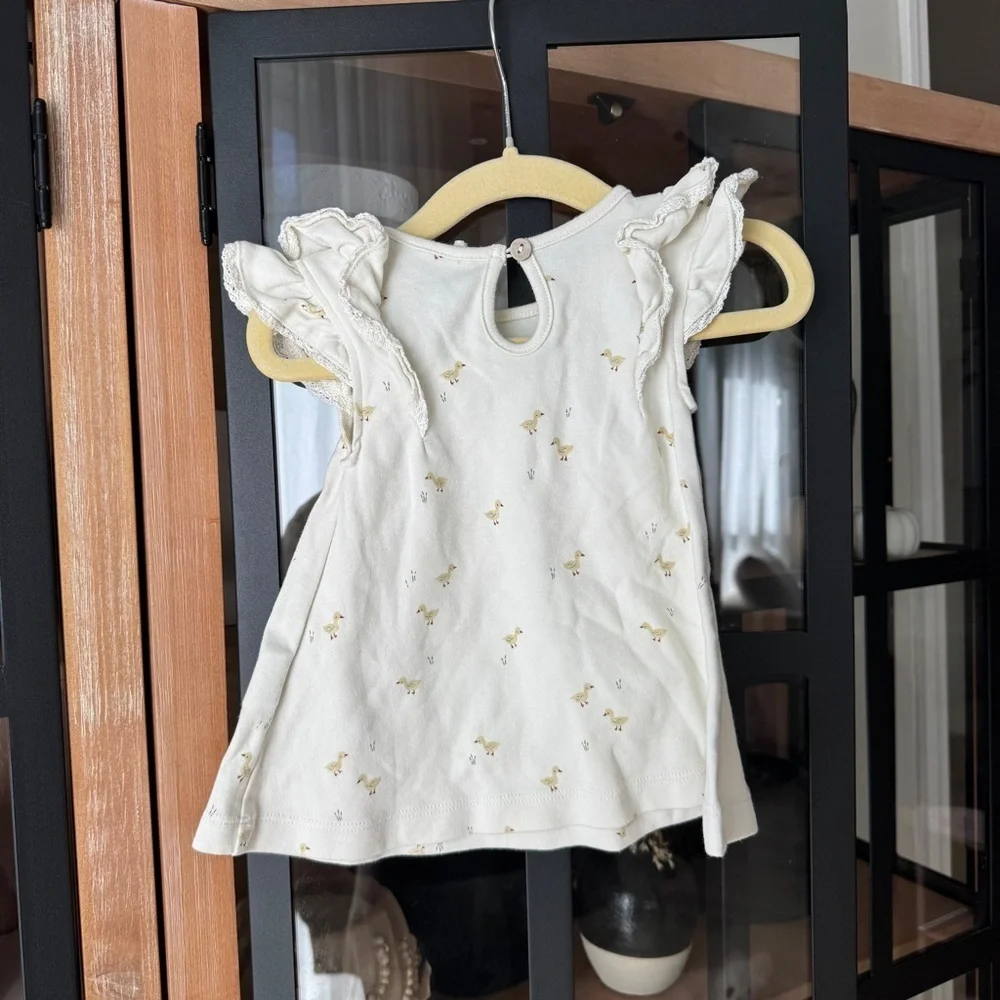 Quincy Mae Flutter dress ducks print lace baby girl beige neutral chicks ruffle